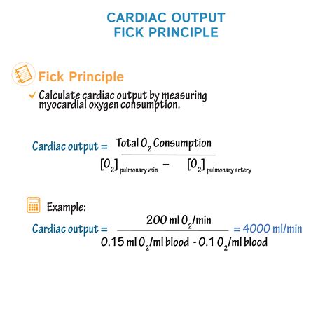 Physiology Glossary: Cardiac Output & The Fick Principle | Draw It to ...