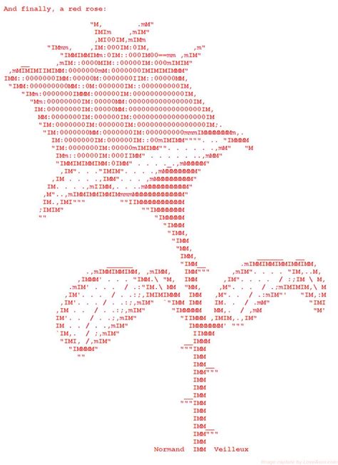 17 Best images about ASCII Art Flowers on Pinterest | Yellow roses, White roses and Bud