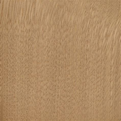 Sweet Chestnut | The Wood Database (Hardwood)