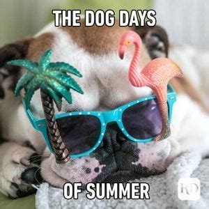 25 Funny Summer Memes We Can All Relate To | Reader's Digest