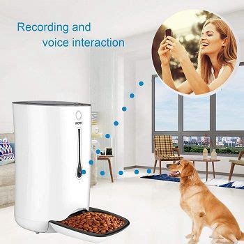 Best 5 Smart (Wifi) Dog Feeders With Camera In 2022 Reviews