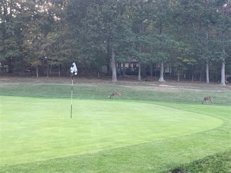 Golf Club «Lake Monticello Golf Course», reviews and photos, 51 Bunker ...