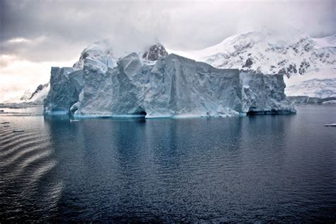 Antarctica Cruise Cost: A Detailed Guide - Expedition Cruise