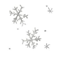 Sparkle snowflake Gif