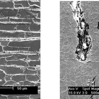 SEM micrograph of typical HIC-damaged regions in samples CR1 (a) and... | Download Scientific ...