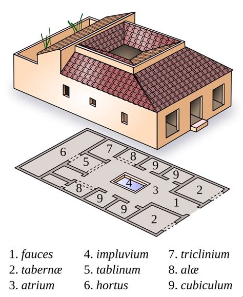 Domus - Wikipedia | Arquitectura romana, Arquitectura de roma, Temas de ...