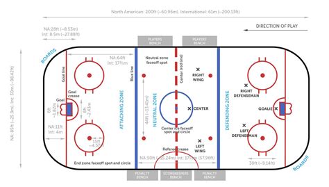 Printable Ice Rink Diagram - Printable Word Searches