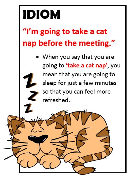 Idiom: cat nap | Idioms, English idioms, Teaching idioms