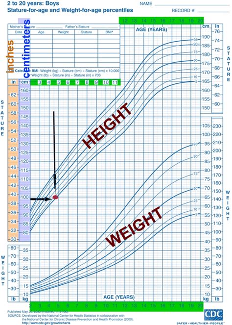 Plotting on a Growth Chart – Children's Growth Awareness