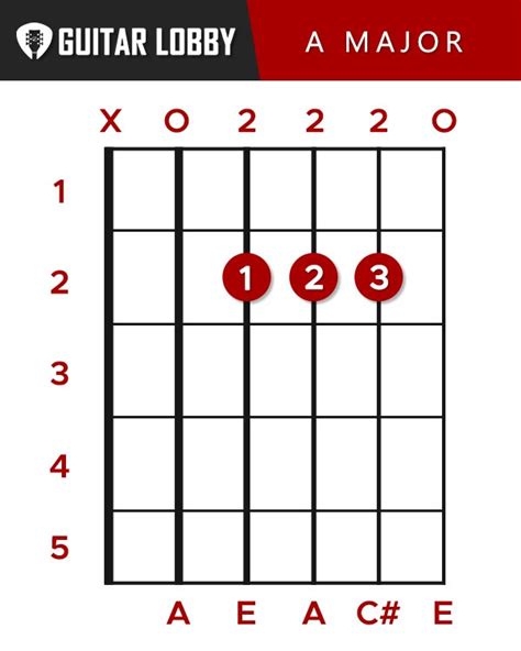 27 Basic Guitar Chords for Beginners (2023 with Charts) - Guitar Lobby ...