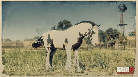 Splashed Piebald Gypsy Cob - RDR2 & Red Dead Online Horses Database ...