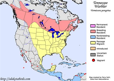 Tennessee Warbler - Species Range Map