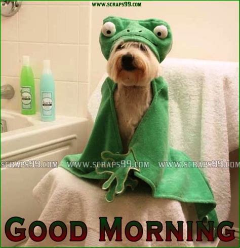 Funny Good Morning Wishes Pictures, Images - Page 6