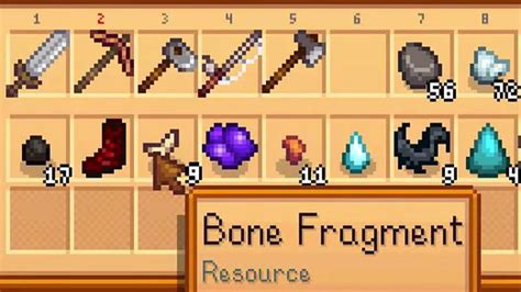 What are Bone Fragments In Stardew Valley And Where To Find Them