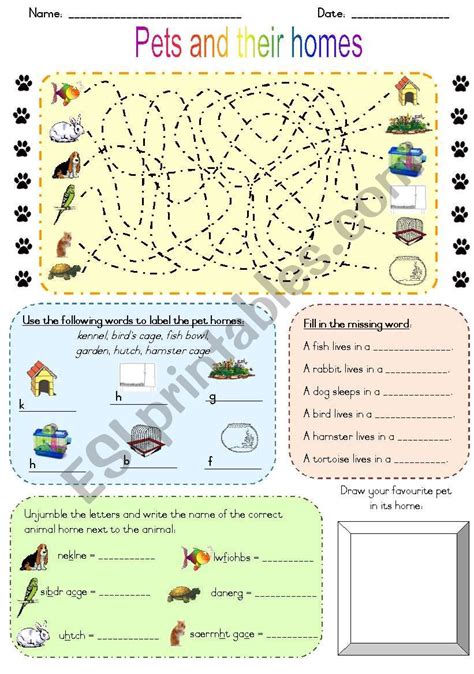 Pets and their homes - ESL worksheet by Joeyb1