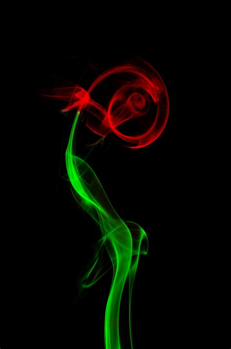 Free Images : abstract, flower, smoke, rose, green, red, color, macro, micro, nikon, black ...