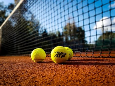 Pista de tenis y medidas, tipos de cancha: arcilla, tierra, hierba | COMPETIZE