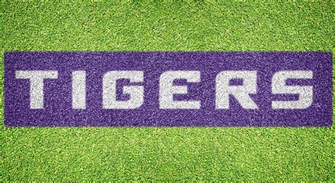 Louisiana State "TIGERS" - Lawn Stencil KitStencil Size: Width: 11 feet ...