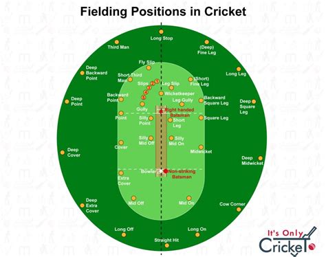 Cricket Fielding Positions Explained: A Simple Guide - Its Only Cricket