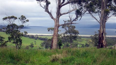 In Tasmania, A Food Bounty As Spectacular As The Scenery : NPR