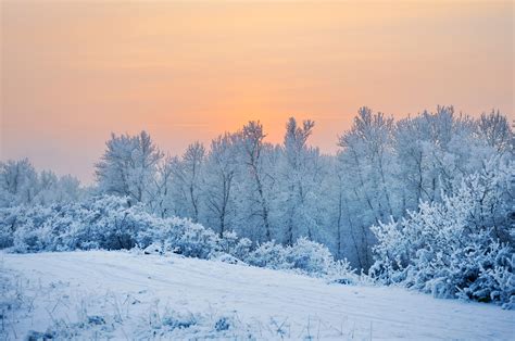 Winter Sunset Free Stock Photo - Public Domain Pictures