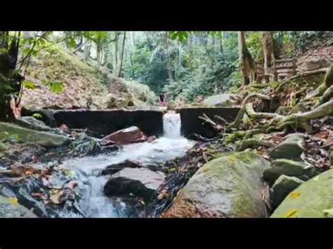 Ulu Serting Forest Reserve - YouTube