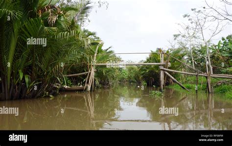 Can Tho, Floating Market, Mekong Delta, Vietnam Stock Photo - Alamy