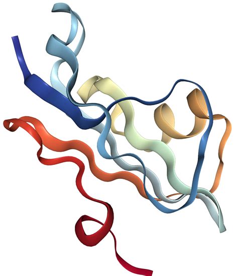 CD59 Protein Overview | Sino Biological