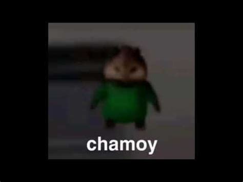 chamoy meme full completo - YouTube