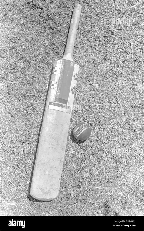 Wooden cricket bat Black and White Stock Photos & Images - Alamy