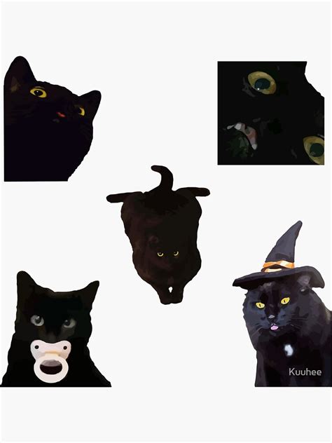 "Cursed black cat meme stickers" Sticker for Sale by Kuuhee | Redbubble