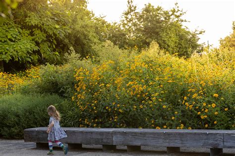 Ask the Expert: Brooklyn Bridge Park’s Rashid Poulson - PerfectEarth