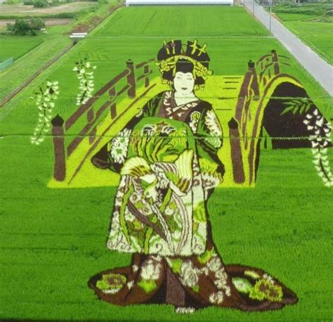 Rice Paddy Art: A Sustainable Way to Celebrate Nature | Arigato Travel