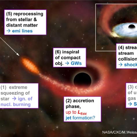 (PDF) Tidal disruption of stars by supermassive black holes: The X-ray view