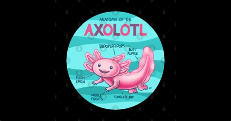 Anatomy of the Axolotl - Fish - Sticker | TeePublic