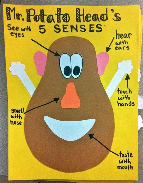 five sense worksheet: NEW 904 FIVE SENSES PRESCHOOL ACTIVITIES PINTEREST