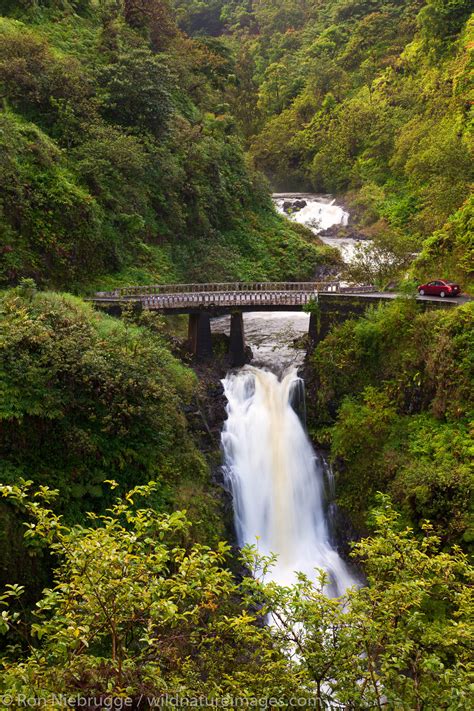 the Hana Highway, Maui, Hawaii. | Photos by Ron Niebrugge