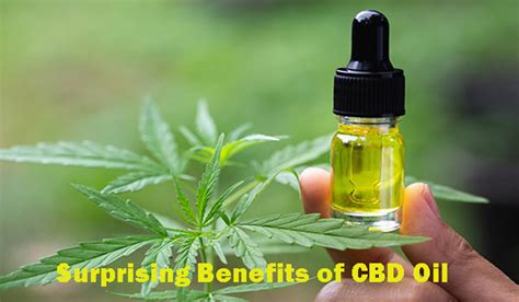 Surprising Benefits of CBD Oil | Benefits, Side effects & Dosage