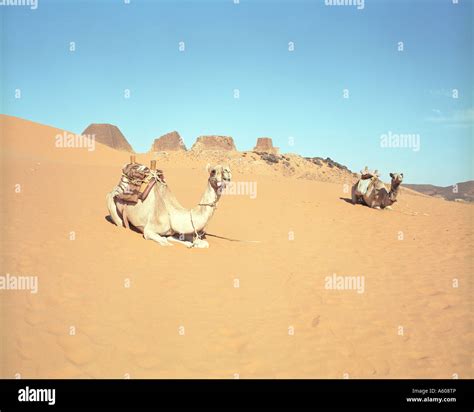 Meroe pyramids, Sudan Stock Photo - Alamy