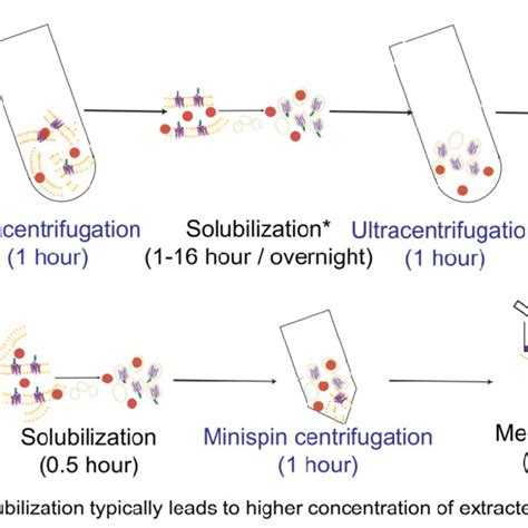 Protocols for (A) traditional purification of membrane proteins and (B ...