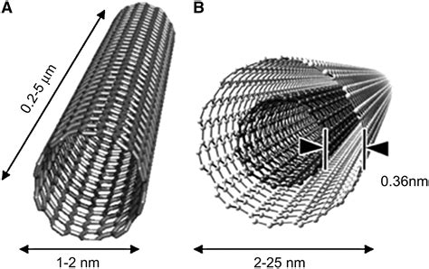 Carbon nanotubes – NanoNews