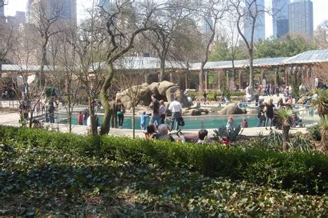 Tickets, Prices & Discounts - Central Park Zoo (New York)