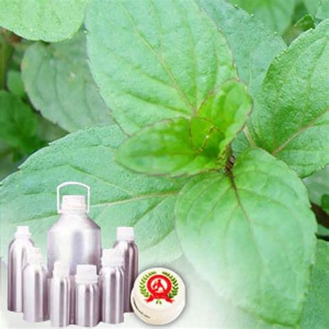 Menthone Oil 90%-8% at Rs 23900/kg | Graded Menthone in Ghaziabad | ID: 23078628712