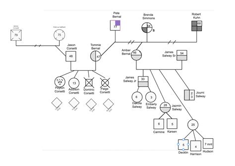 Family Genogram | Edrawsoft Template | EdrawMax Templates