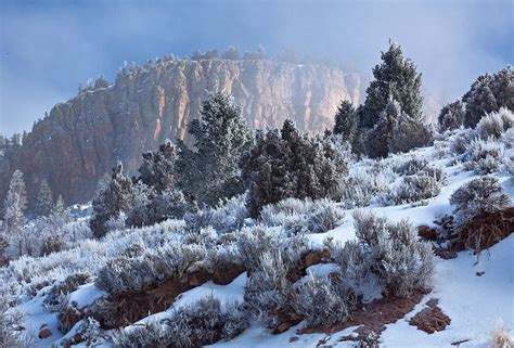 Blue Mesa #367 : Sapinero, Colorado : Stan Rose Photography | Colorado vacation, Colorado native ...