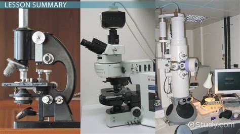 Types of Microscopes: Electron, Light & Fluorescence - Video & Lesson Transcript | Study.com