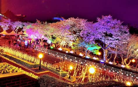 Fun & Free Daegu Travel: Korea Cherry Blossom Festival 2018: “Starlight ...