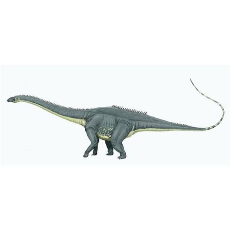 Amphicoelias Dinosaur Sauropod Fossil Jurassic-12 Inch BY 18 Inch Laminated Poster With Bright ...