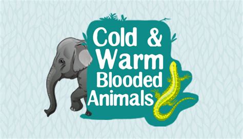 Cold blooded and Warm blooded animals - Biology for Kids | Mocomi