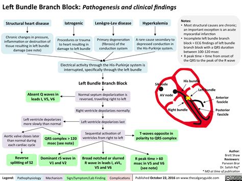 Left Bundle Branch Block: Pathogenesis and clinical findings | Calgary Guide